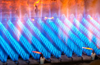 Kings Park gas fired boilers